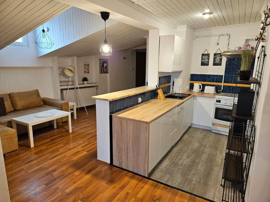 Apartament Przestronny Z Szybkim Wifi